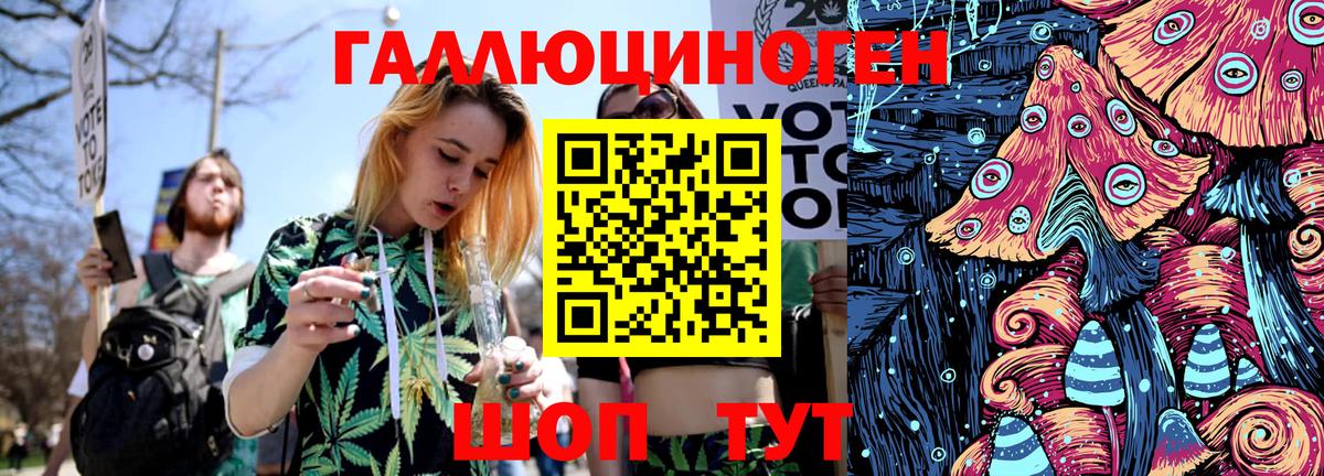 Псилоцибиновые грибы Cubensis Артёмовский
